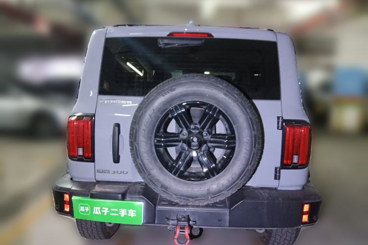 Used Tank 300 2025 2.4T Diesel Version