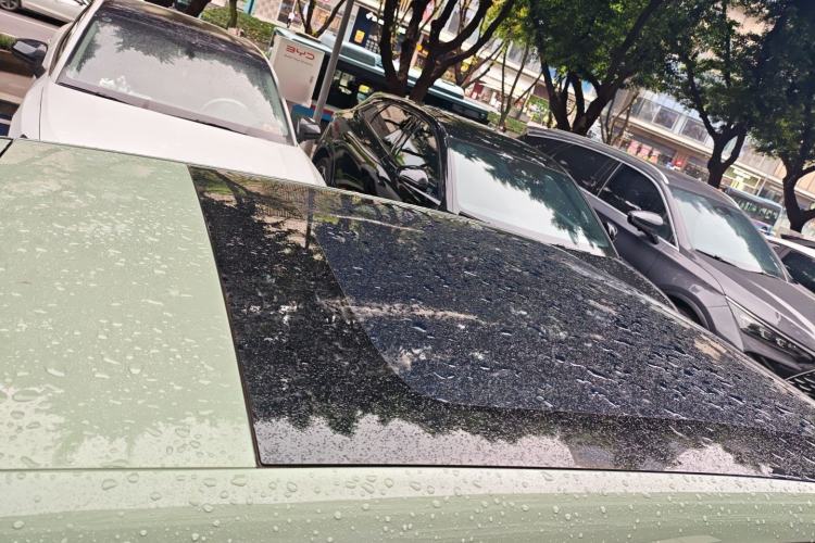 Used BYD Seal 06GT 2025 505 Wave Plus Edition