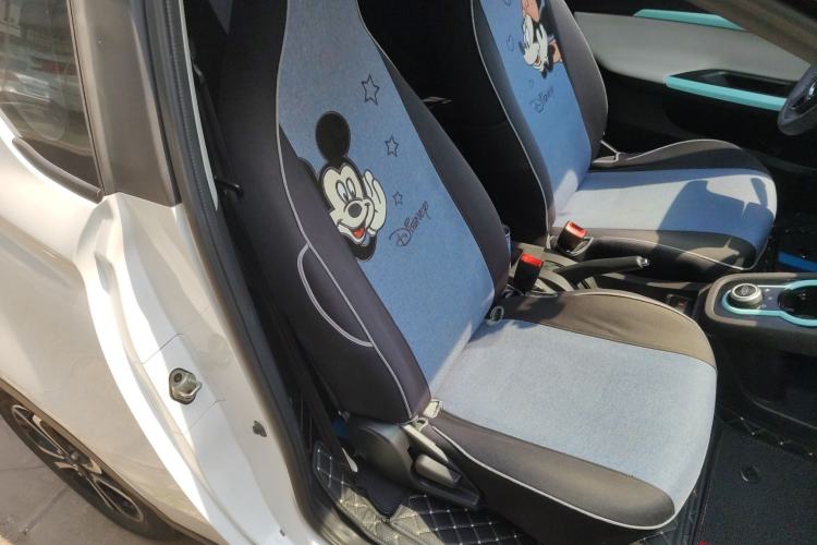 Used Chery QQ Little Ant 2021 150 000 Yuan Ant Fan Edition Ant Trend Version Lithium Iron Phosphate Right Front Seat