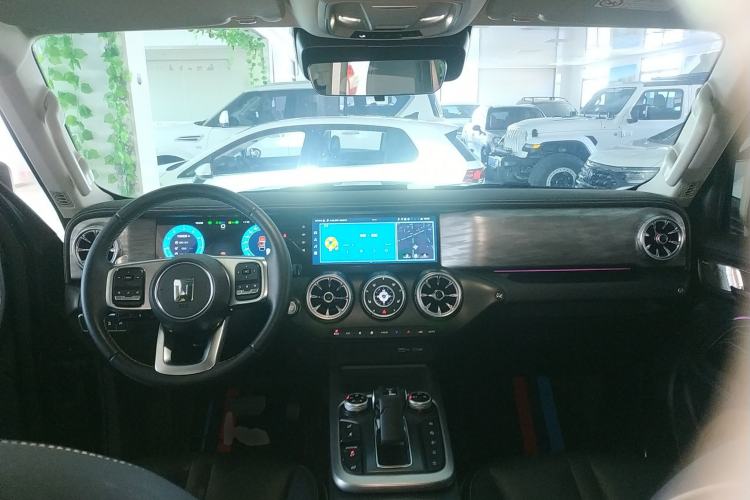 Used Tank 300 2024 2.0T Conqueror