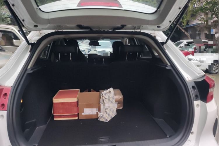 Used WM Motor EX5 2020 EX5 475 Jike Xing Edition