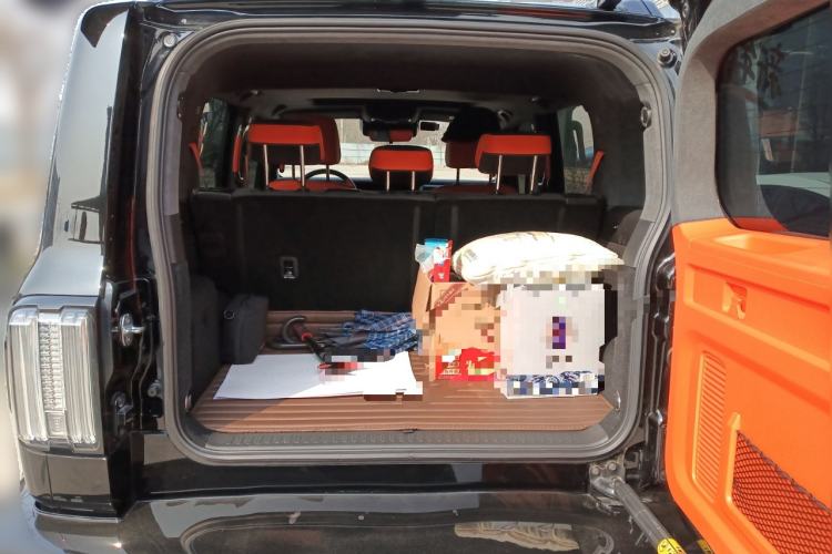 Used Cyberspace Tank 300 2023 2.0T Cyber Knight
