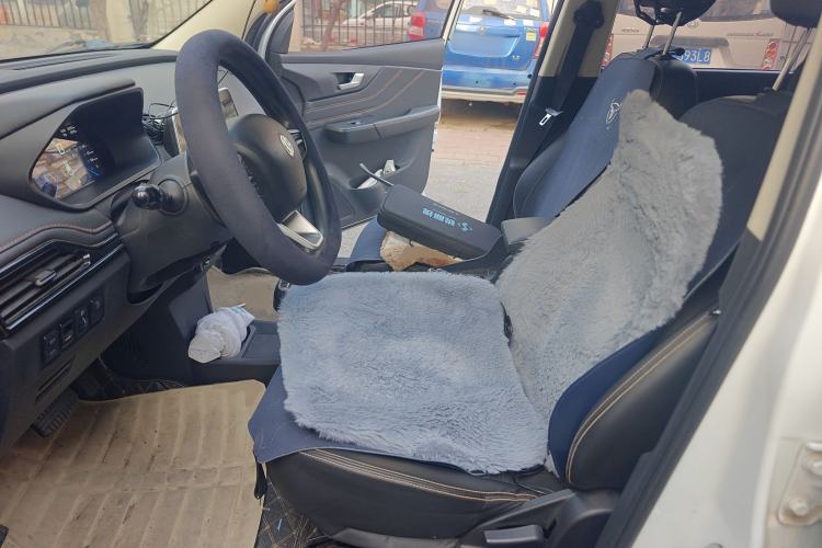 Used Electric House YOUNG Light XiaoXin 2021 L400 4-seater
