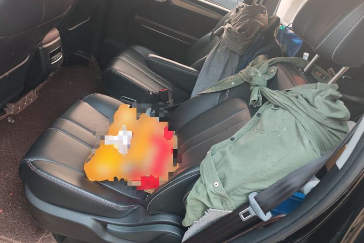 Used GAC Trumpchi M6 2023 PRO 270T DCT Luxury Edition Left Rear Seat