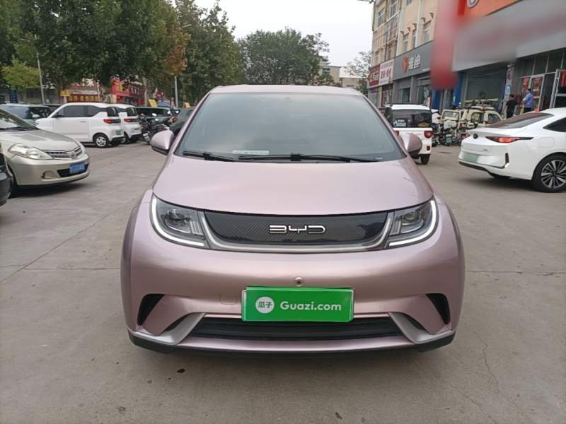 Used BYD Dolphin 2023 420 km Free Version — 2