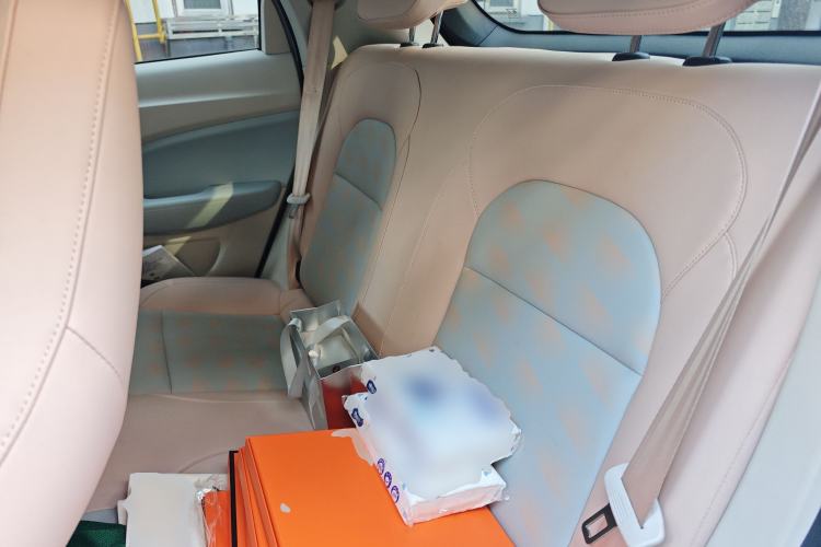 Used Leapmotor T03 2023 403 Lite Edition Left Rear Seat