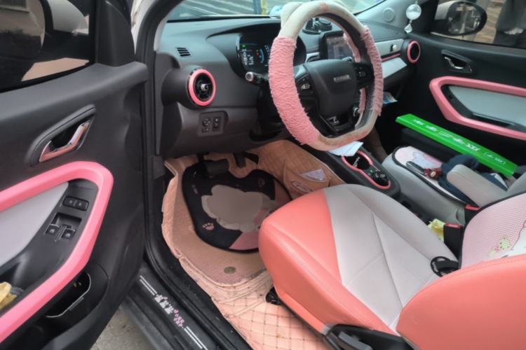 Used Chery QQ Little Ant 2022 Sweet Pink Edition Half-Sugar Version Lithium Iron Phosphate 30 kW 301 km
