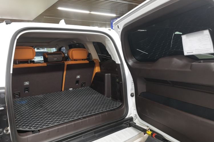 Used Tank 500 New Energy 2025 Hi4-Z
