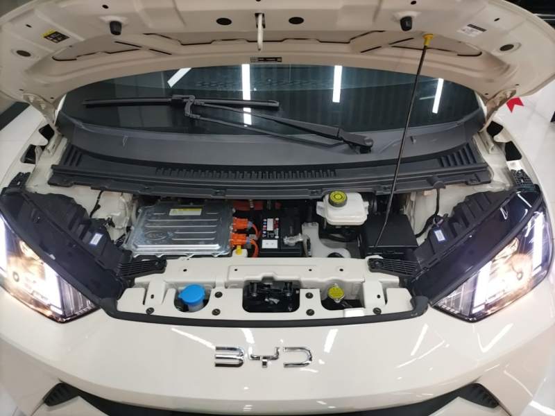 Used BYD Seagull 2024 Honor Edition 305km Dynamic Version — 19