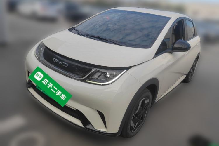 Used BYD Dolphin 2021 405 km Free Version