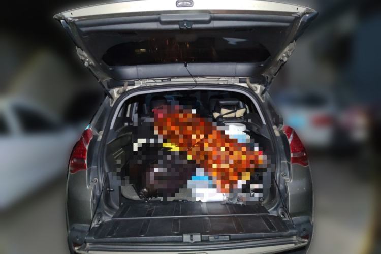 Used Peugeot 3008 2015 1.6THP Automatic Trend Edition Trunk