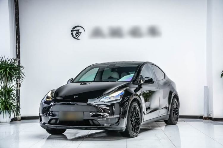 Used Tesla Model Y 2021 Standard Range Rear-Wheel Drive Version Exterior 4