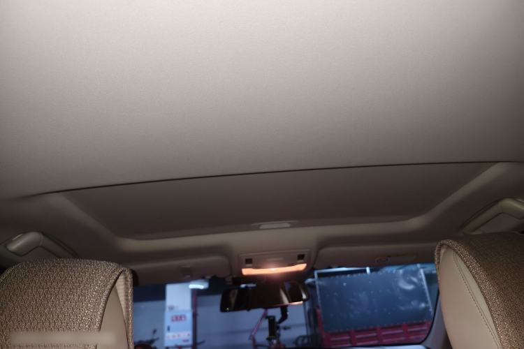 Used Lexus ES 2013 250 Elite Edition Headliner