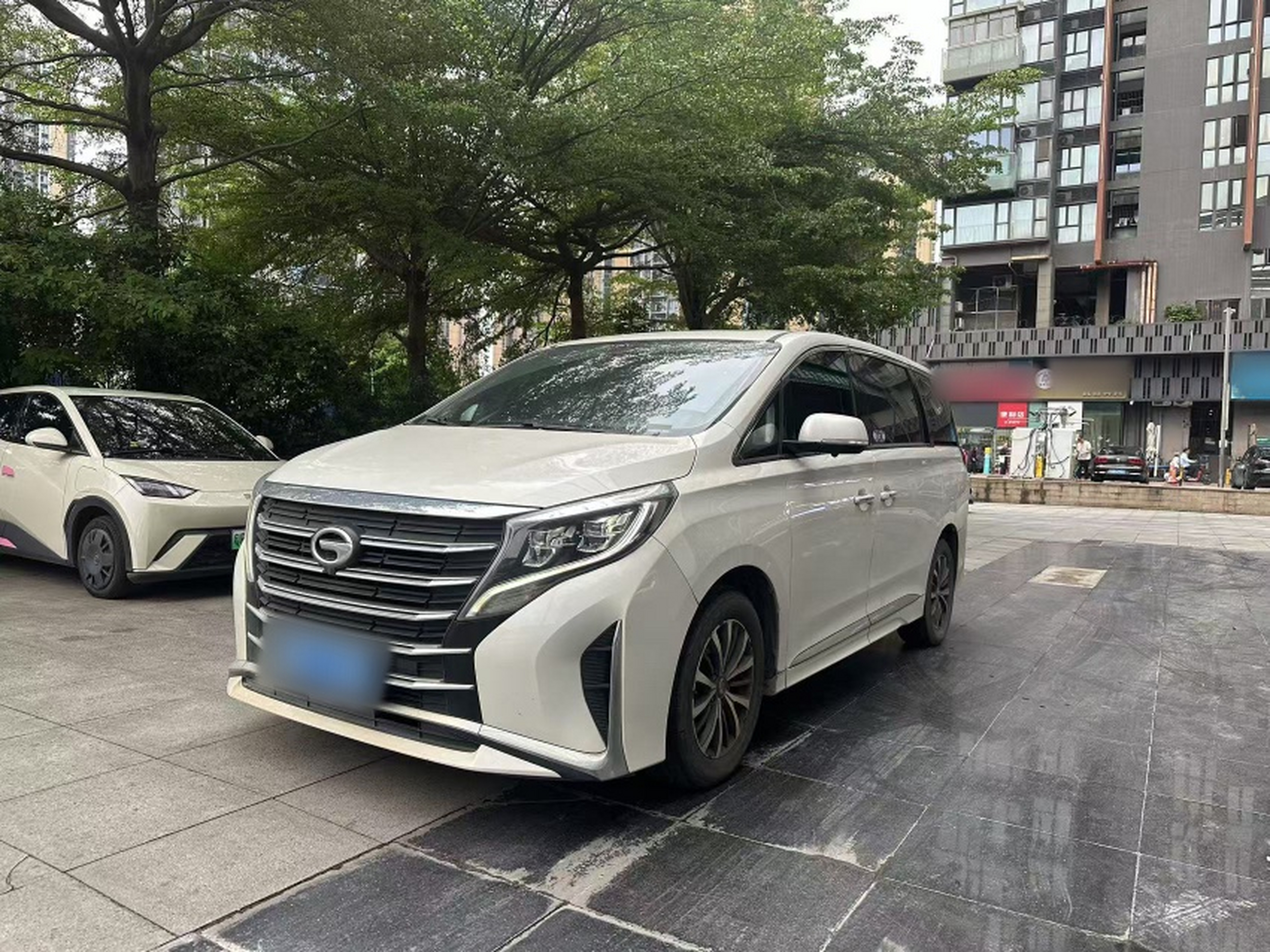 Under Front Bumper