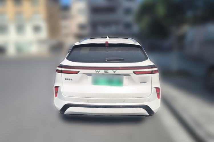 Used Wey Mocha New Energy 2023 Two-Wheel Drive Long-Range Version