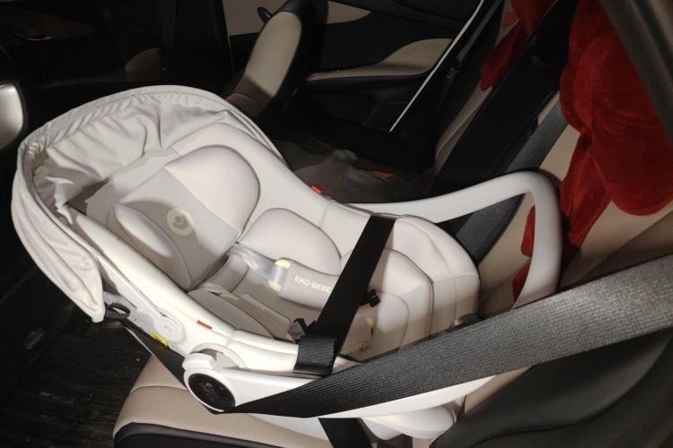 Used BYD Dolphin 2023 420 km Fashion Edition Left Rear Seat