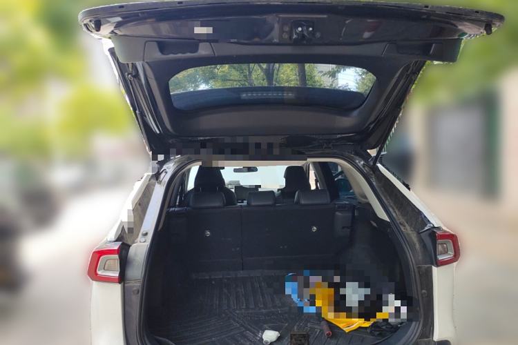 Used Toyota Wildlander 2021 Dual-Motor 2.5L E-CVT Four-Wheel Drive Luxury Edition
