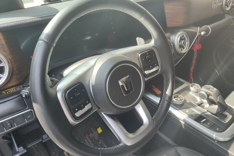 Used Tank 300 2021 2.0T Wind & Forest Iron Rider