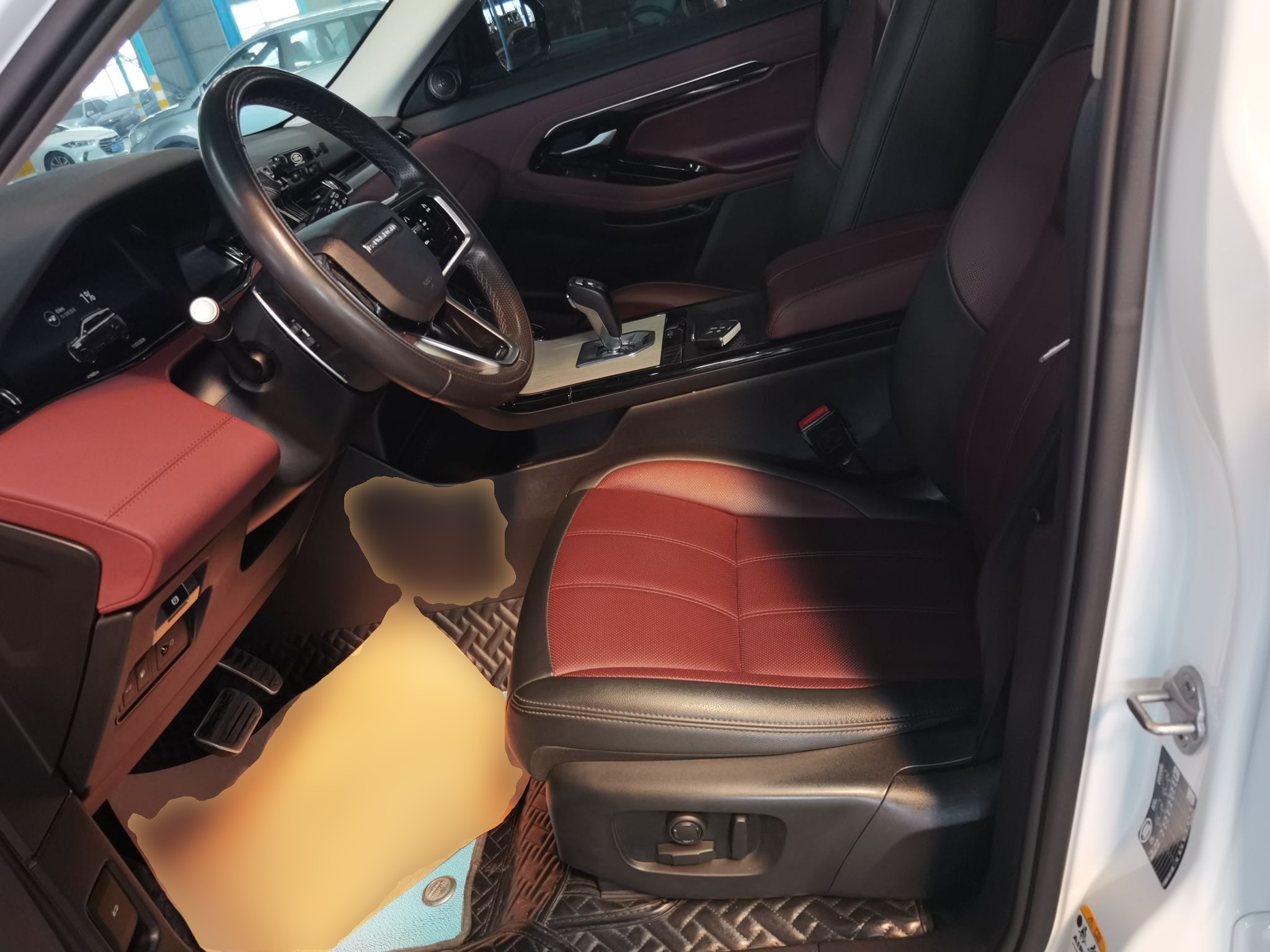 Interior delantero