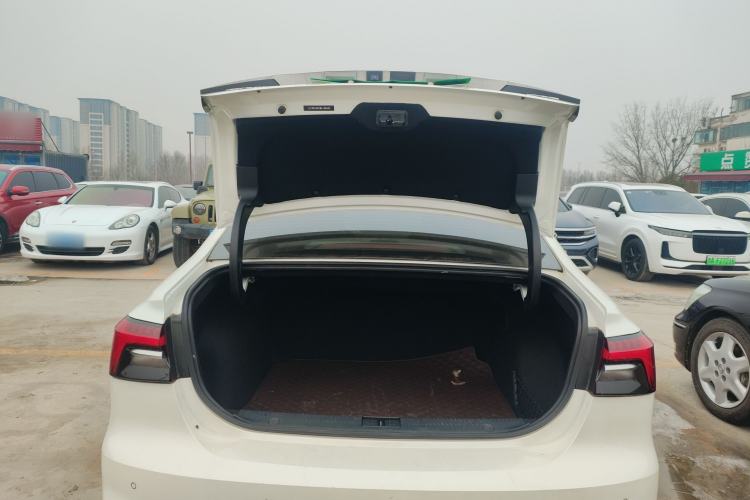 Used Rising ER6 2021 New Dynamic Edition 620km Smart Drive Version
