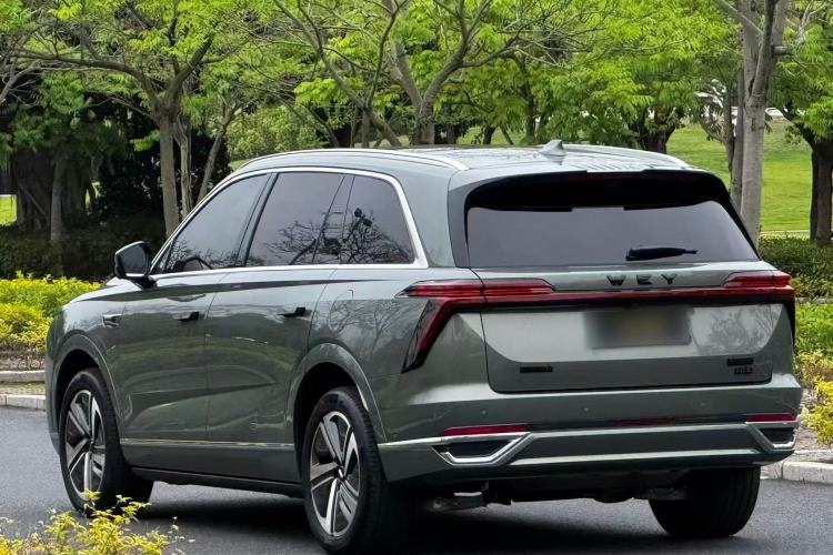 Used Wey Lanshan 2025 Four-Wheel Drive Ultra Exterior 4