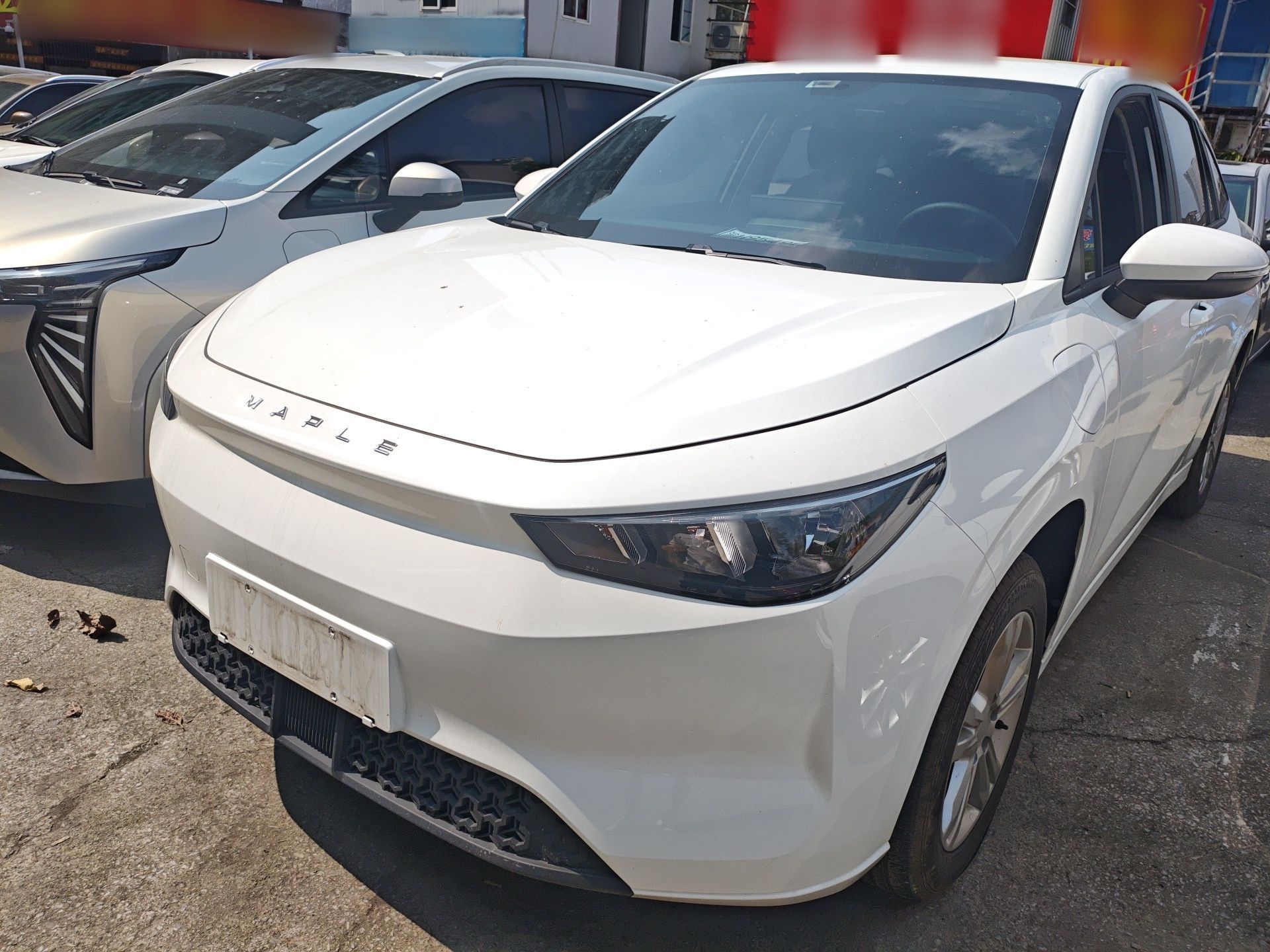 Parte inferior delantera