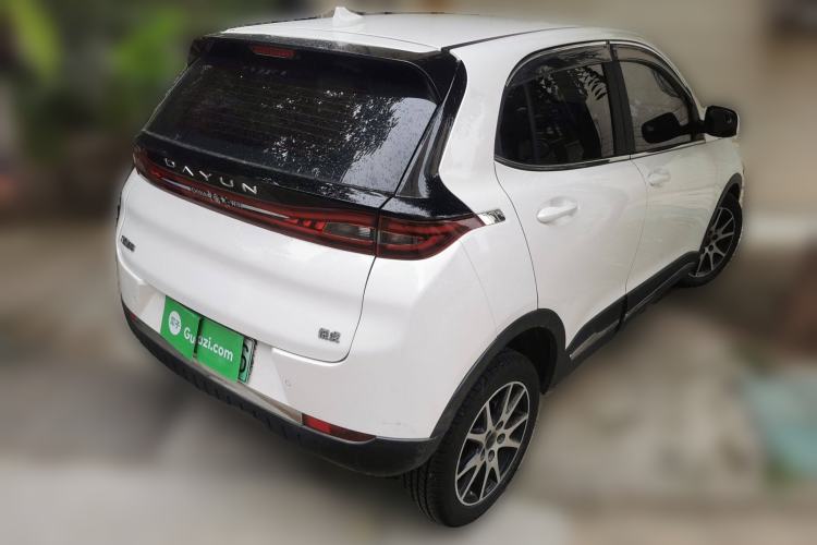 Used Dayun Yuehu 2021 32.85 kWh Two-Wheel-Drive Sprite Version