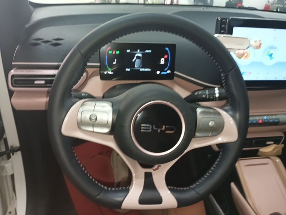 BYD Seagull 2023 Free Edition — снимка 13