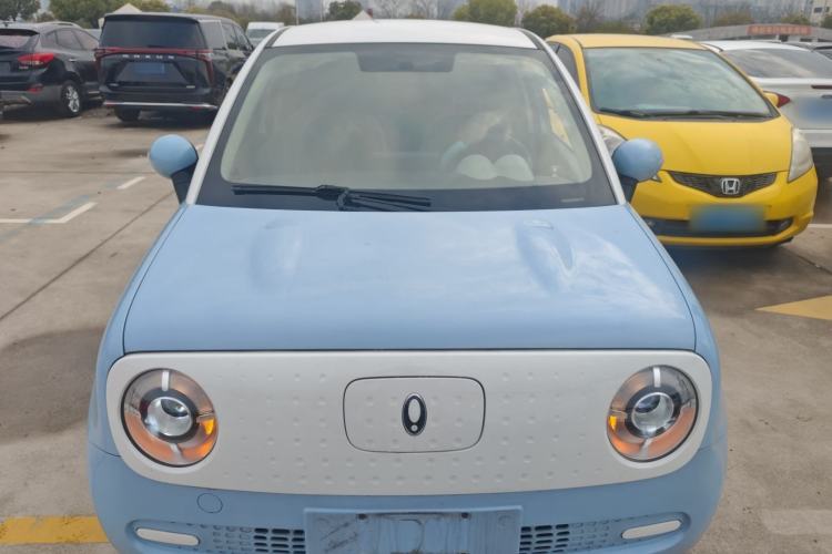 Used ORA Black Cat 2022 Updated Version 301 km Cute Pet Edition Lithium Iron Phosphate
