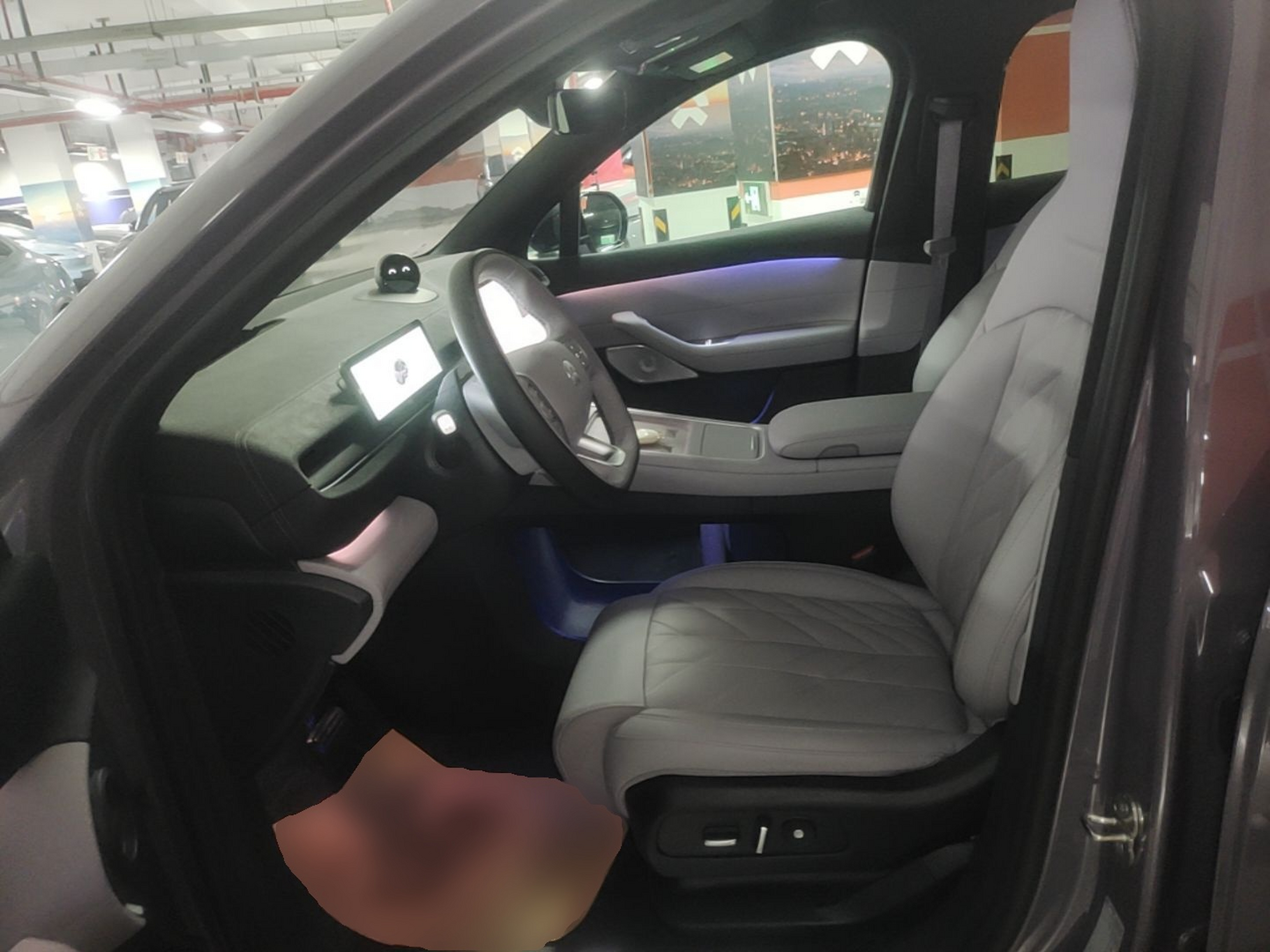 Interior delantero