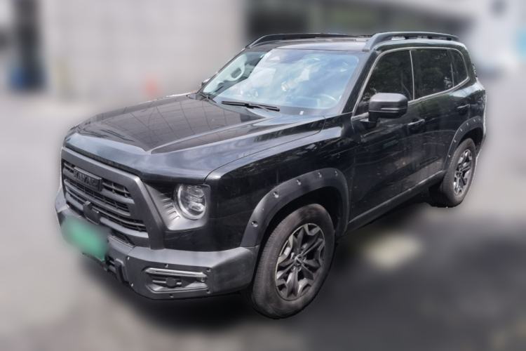 Used Haval DARGO 2024 2.0T DCT Chinese Rural Dog Edition