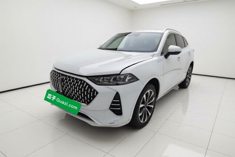 Used Wey Mocha 2021 2.0T Two-Wheel Drive Special Edition