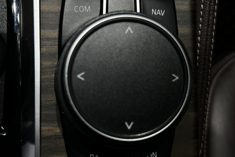 Used BMW 5 Series 2019 530Li Luxury Edition Premium Package