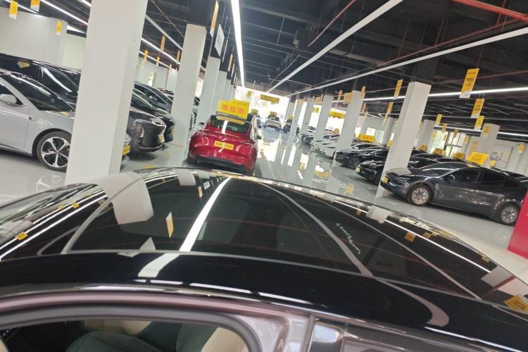 Used firefly firefly 2025 Illuminated Edition
