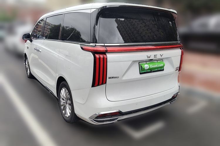 Used Wey Gaoshan 2023 Four-Wheel Drive Flagship Edition
