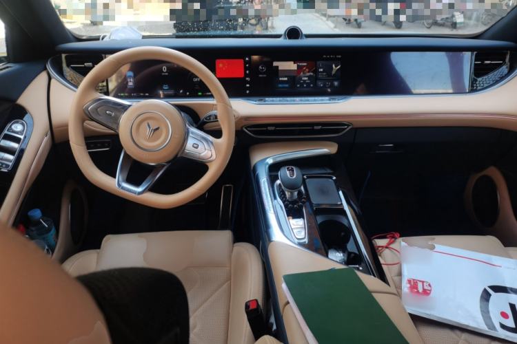 Used VOYAH FREE 2021 Four-Wheel Drive Standard Range-Extended Exclusive Luxury Package Center Console