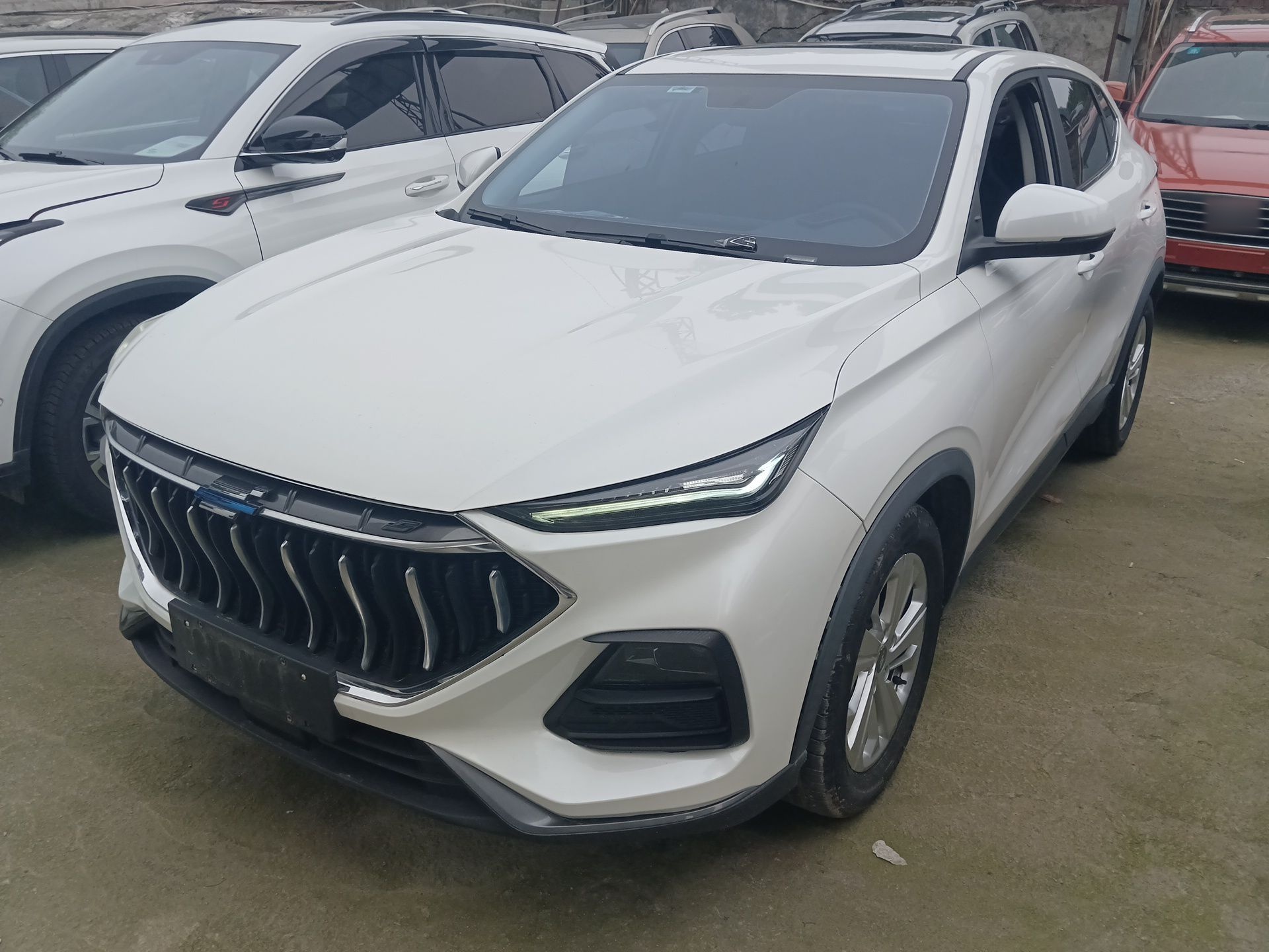 تحت مقدمة السيارة