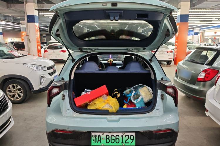 Used Geometry E Firefly 2022 401 km Linglong Tiger 5 Seats