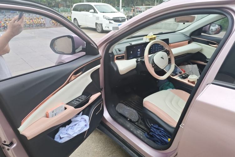 Used NETA U 2022 NETA U-Ⅱ 500 Lithium Iron Phosphate