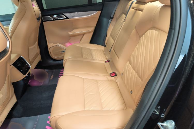 Used Lynk & Co 09 2024 2.0T Four-Wheel Drive Sport Edition Five Seats Left Rear Seat