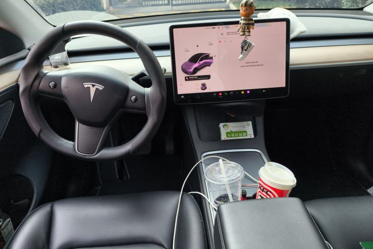 Used Tesla Model Y 2021 Standard Range Rear-Wheel Drive Version
