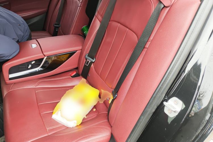 Used BMW 5 Series 2019 530Li Leading Model M Sport Package Left Rear Seat