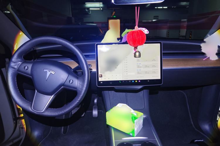 Used Tesla Model Y 2021 Long-Range All-Wheel-Drive Version