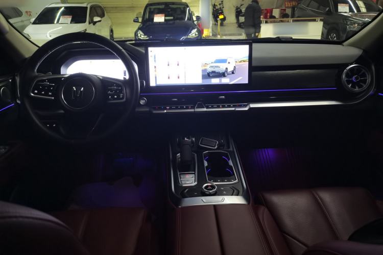 Used Tank 400 New Energy 2024 Hi4-T City Edition Center Console