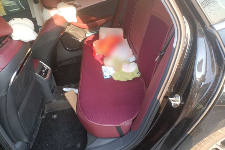 Used Hongqi H5 2025 2.0T Automatic Flag Edition – 500 000 Units Commemorative Version
