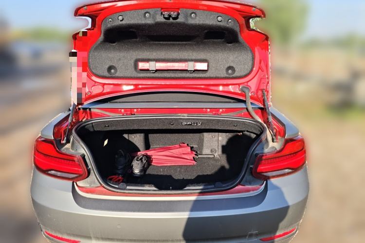 Used BMW 2 Series 2018 220i Convertible Coupe Sports Design Package