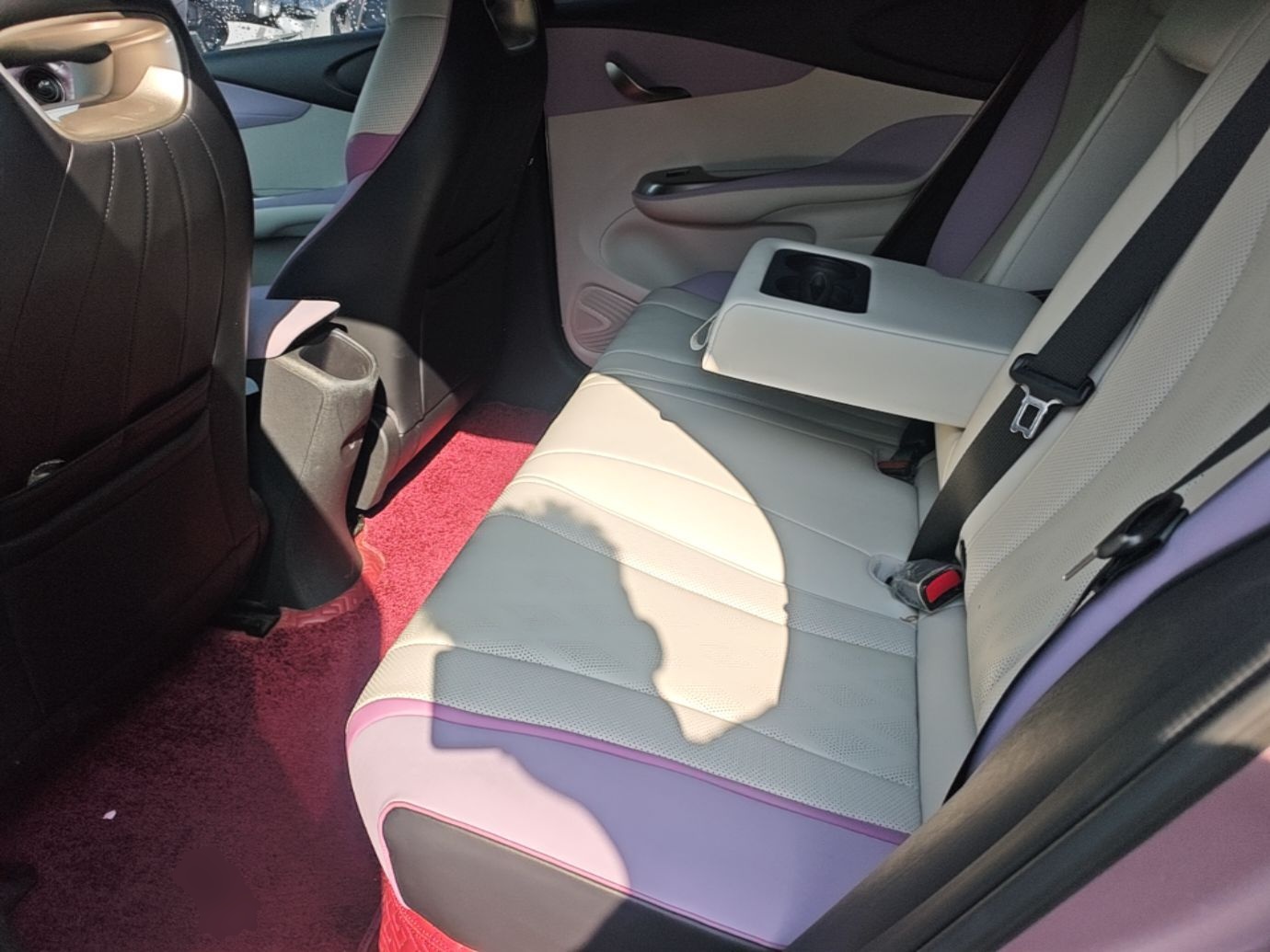 BYD Dolphin 2024 Honor Edition 420km Fashion Version — снимка 20