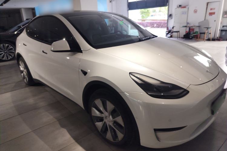 Used Tesla Model Y 2021 Standard Range Rear-Wheel Drive Version
