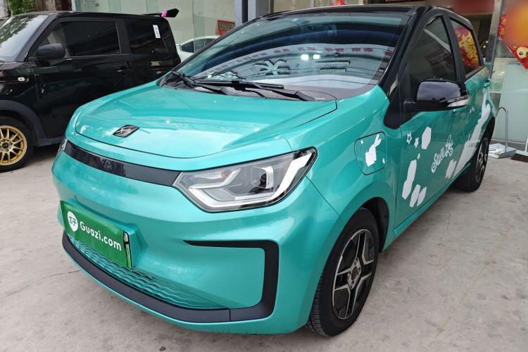 Used SOL E10X 2022 Flower Fairy Design Four-Leaf Clover