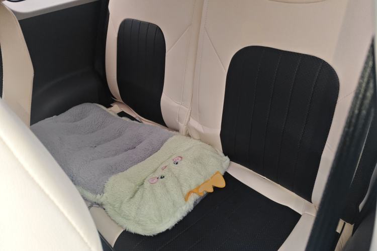 Used Qiyuan Lumin 2024 130km Qingyue Version
